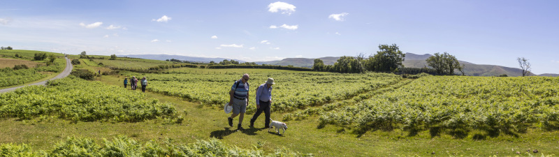 Photograph of Walking Route - Image 16