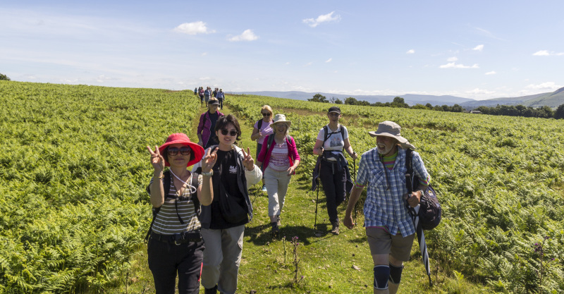 Photograph of Walking Route - Image 17