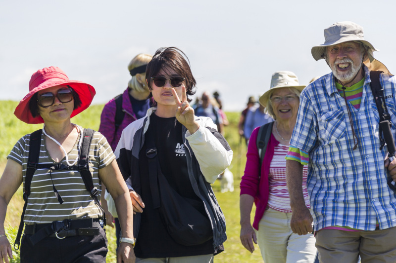 Photograph of Walking Route - Image 18