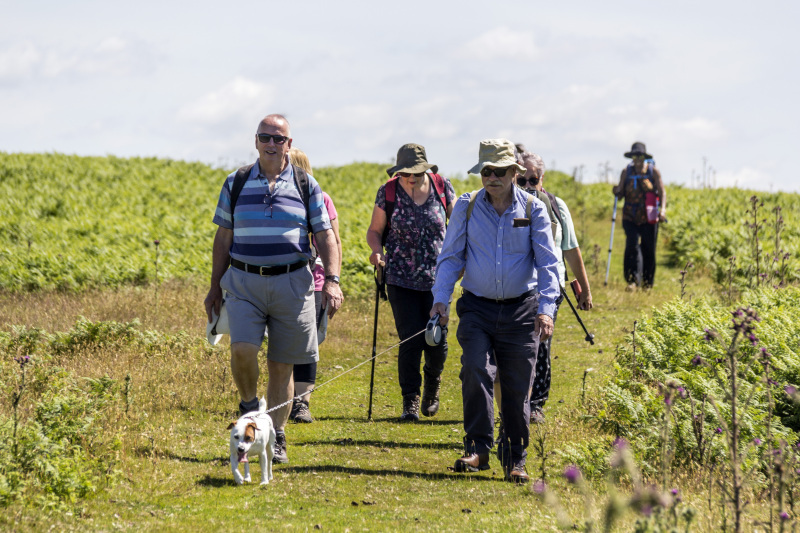 Photograph of Walking Route - Image 19