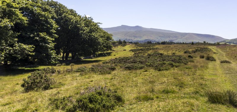 Photograph of Walking Route - Image 21