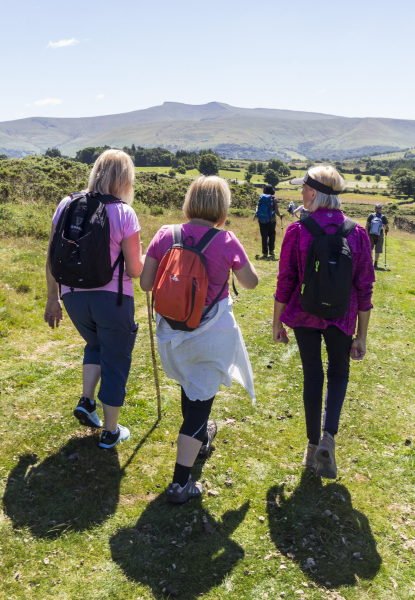 Photograph of Walking Route - Image 27