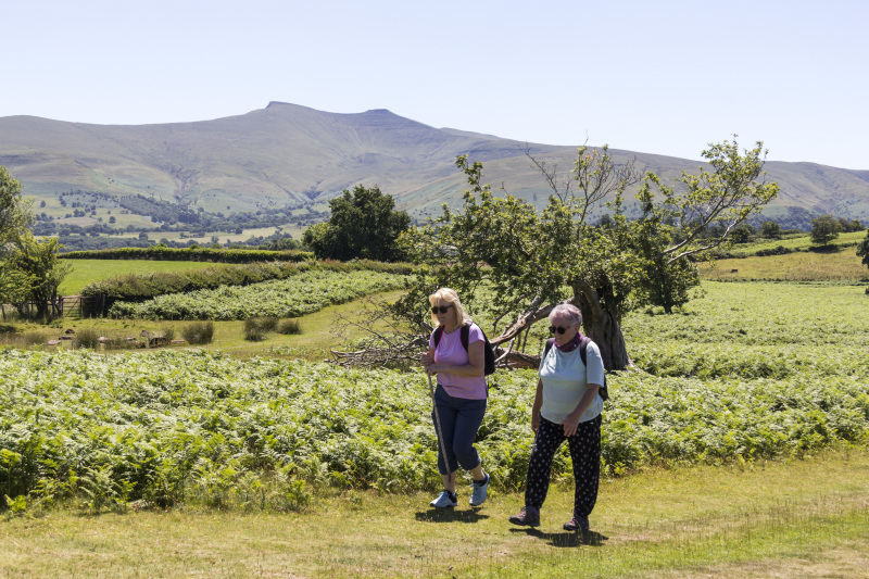 Photograph of Walking Route - Image 28