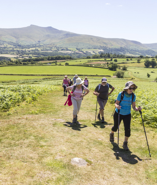 Photograph of Walking Route - Image 29