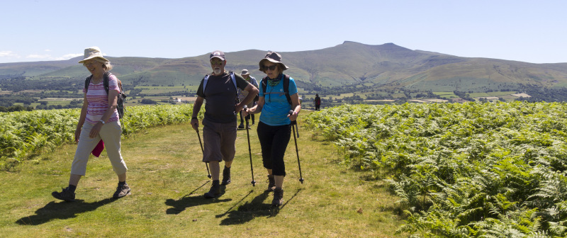 Photograph of Walking Route - Image 30