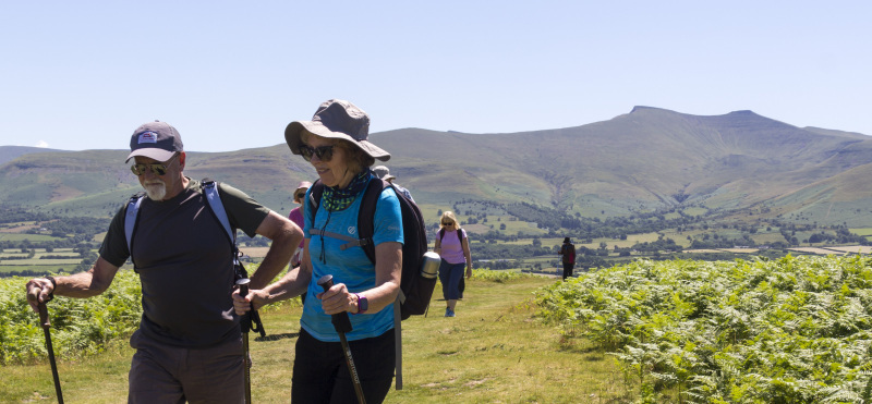 Photograph of Walking Route - Image 31