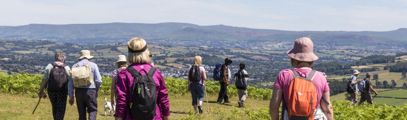 Photograph of Walking Route - Image 40