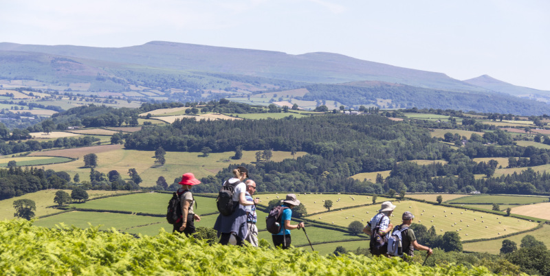 Photograph of Walking Route - Image 41
