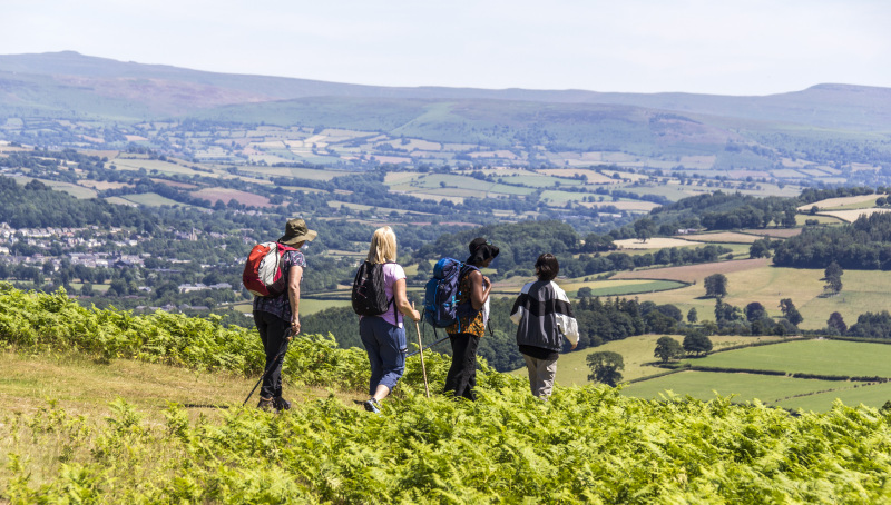 Photograph of Walking Route - Image 42