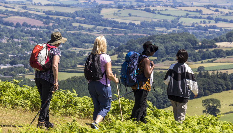 Photograph of Walking Route - Image 43