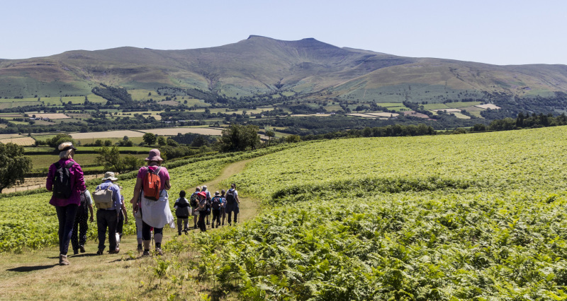 Photograph of Walking Route - Image 44