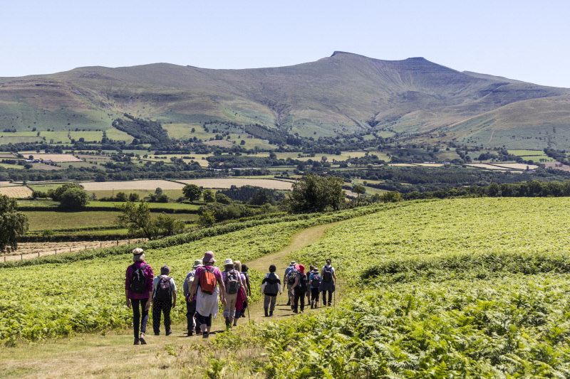 Photograph of Walking Route - Image 45