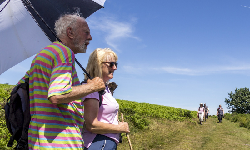Photograph of Walking Route - Image 49