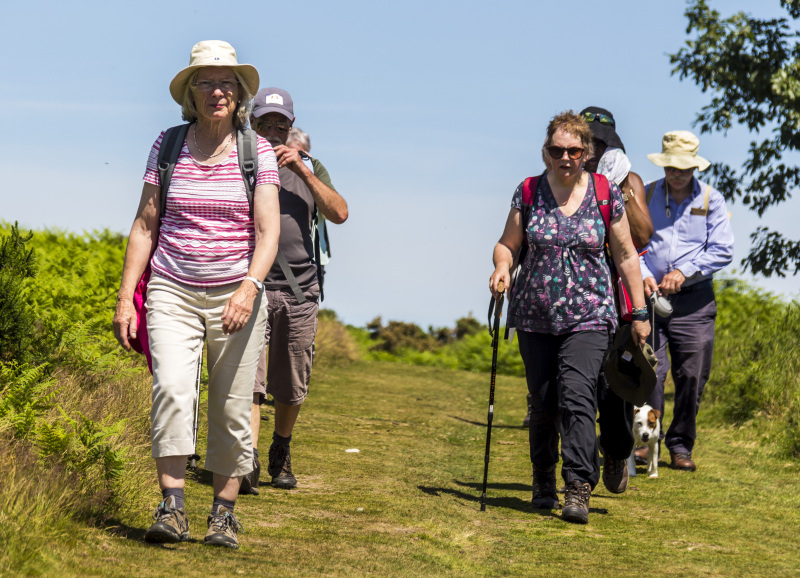 Photograph of Walking Route - Image 50