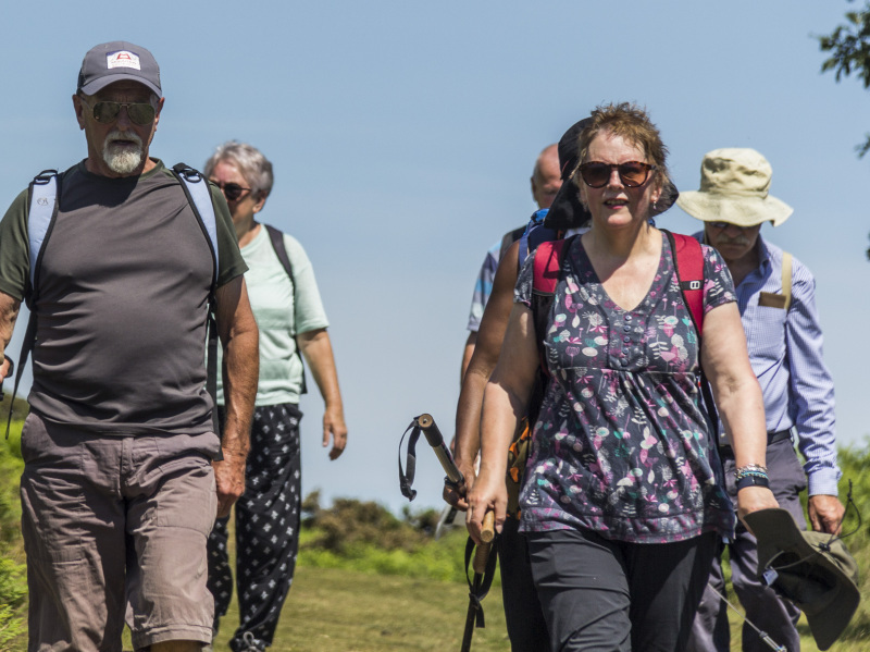 Photograph of Walking Route - Image 51