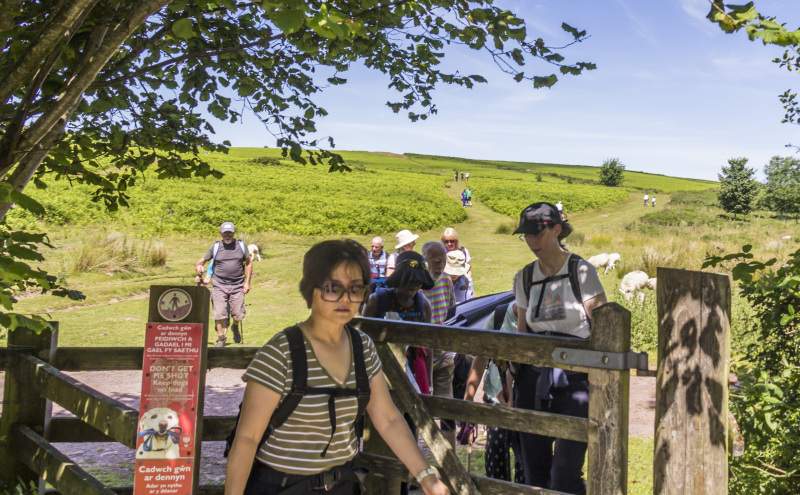 Photograph of Walking Route - Image 52