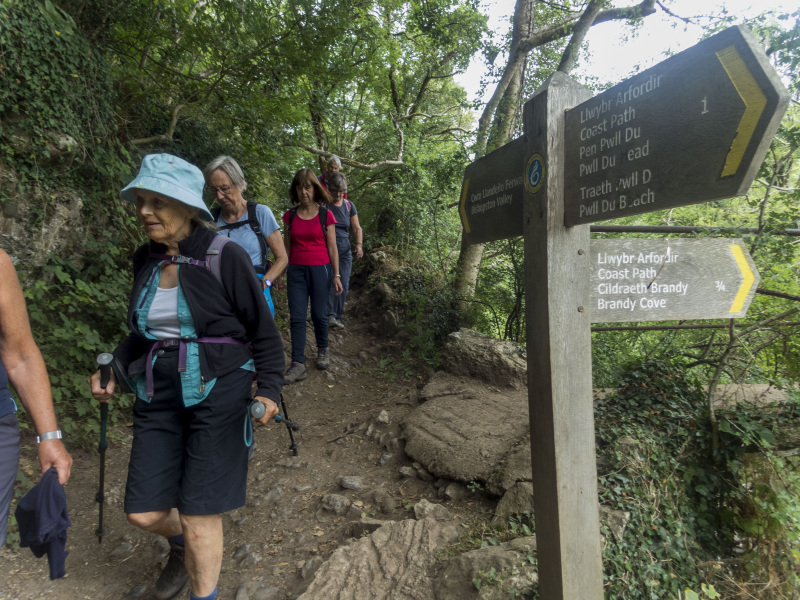 Photograph of Walking Route - Image 4