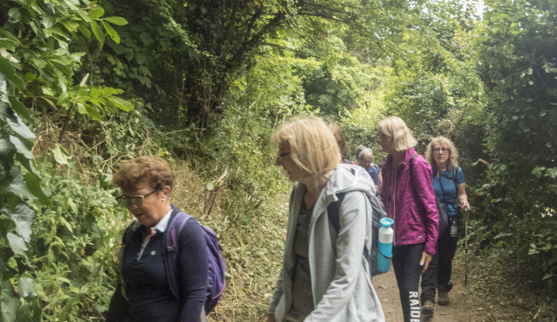 Photograph of Walking Route - Image 12