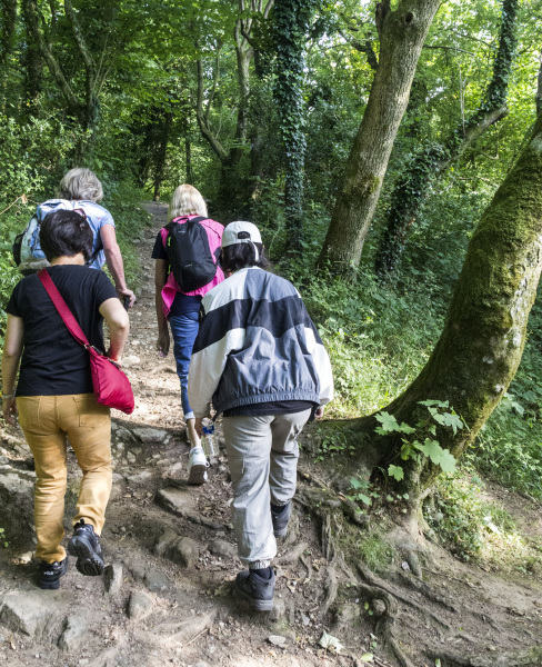 Photograph of Walking Route - Image 3