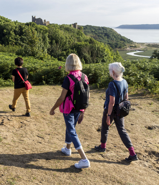 Photograph of Walking Route - Image 7