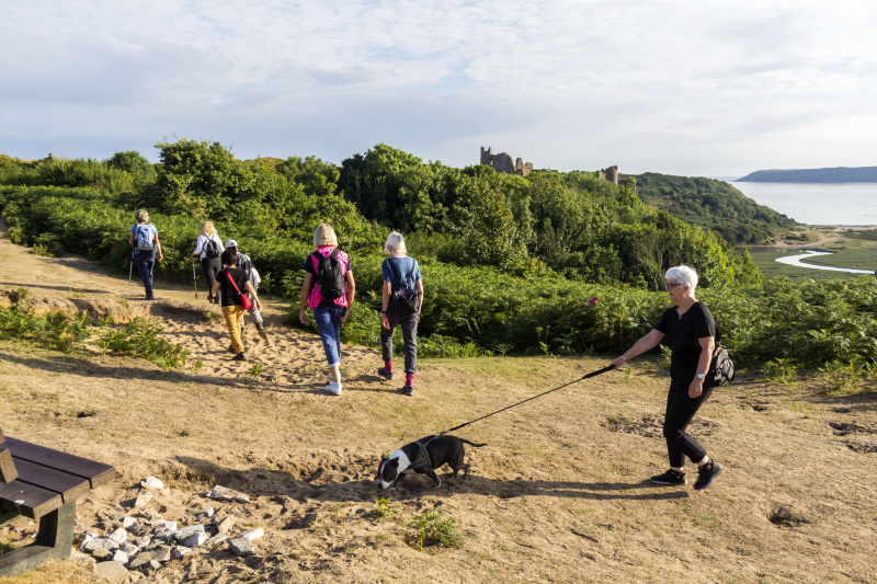 Photograph of Walking Route - Image 8
