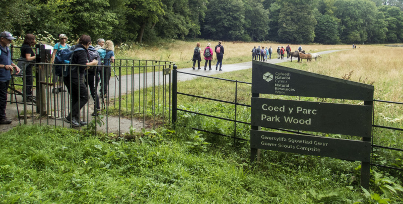 Photograph of Walking Route - Image 3
