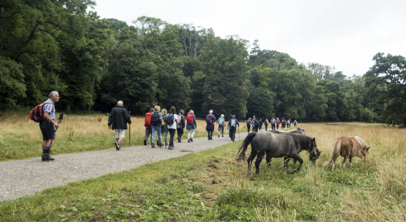 Photograph of Walking Route - Image 4