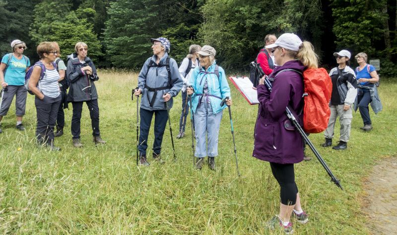 Photograph of Walking Route - Image 5
