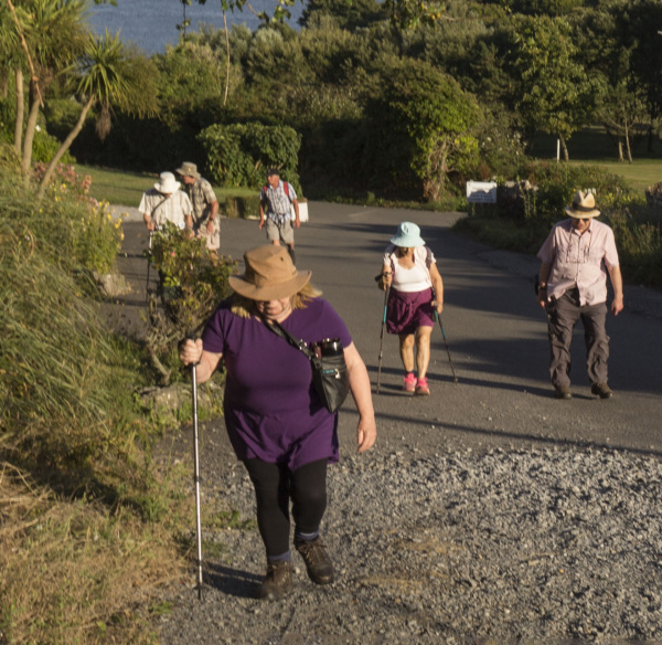 Photograph of Walking Route - Image 8