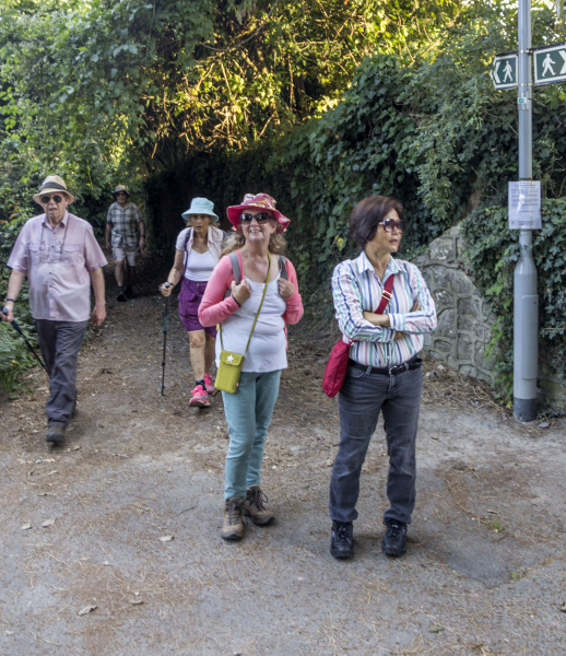 Photograph of Walking Route - Image 9