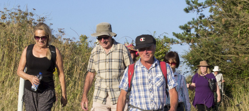 Photograph of Walking Route - Image 11