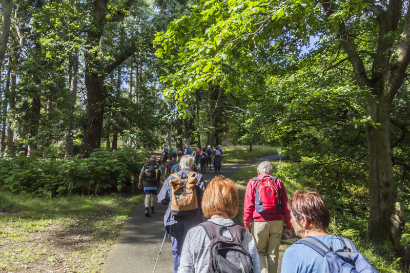 Photograph of Walking Route - Image 2