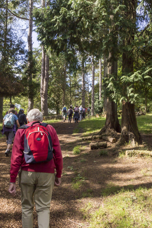 Photograph of Walking Route - Image 3