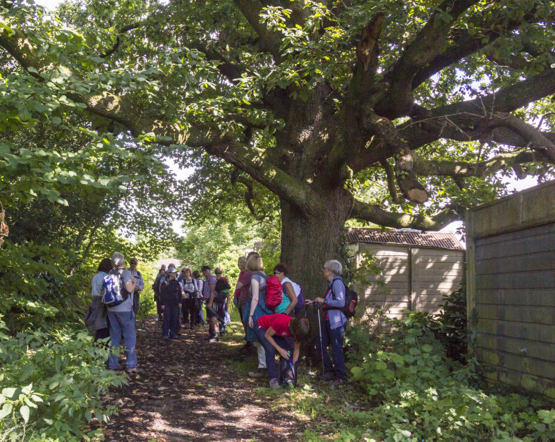 Photograph of Walking Route - Image 5