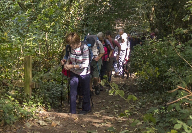 Photograph of Walking Route - Image 16