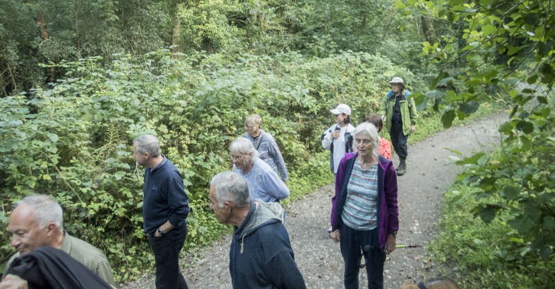 Photograph of Walking Route - Image 5