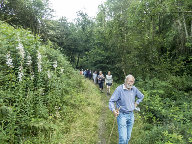Photograph of Walking Route - Image 10