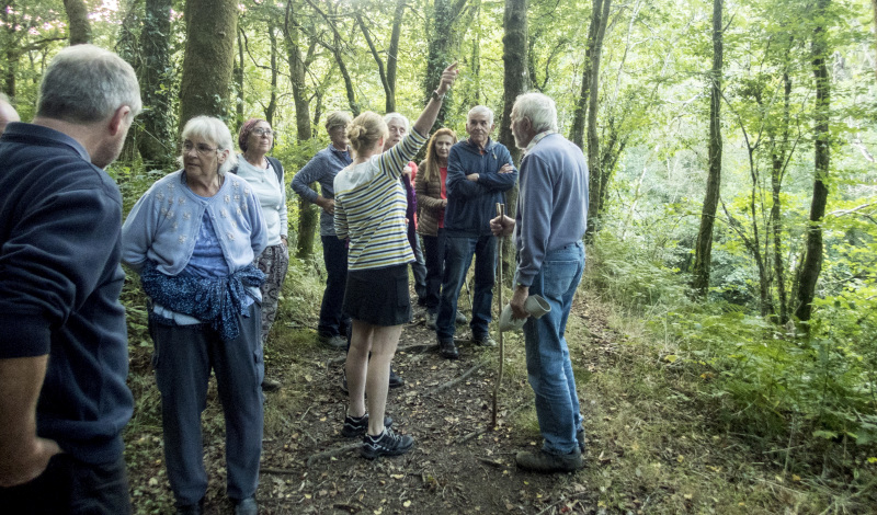 Photograph of Walking Route - Image 12
