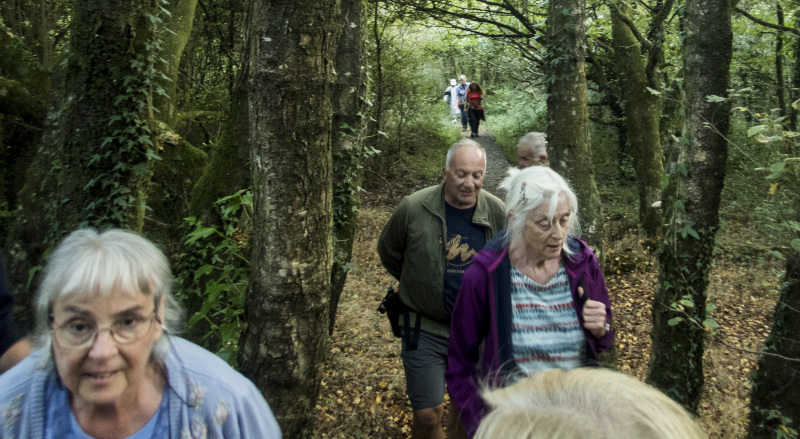 Photograph of Walking Route - Image 15