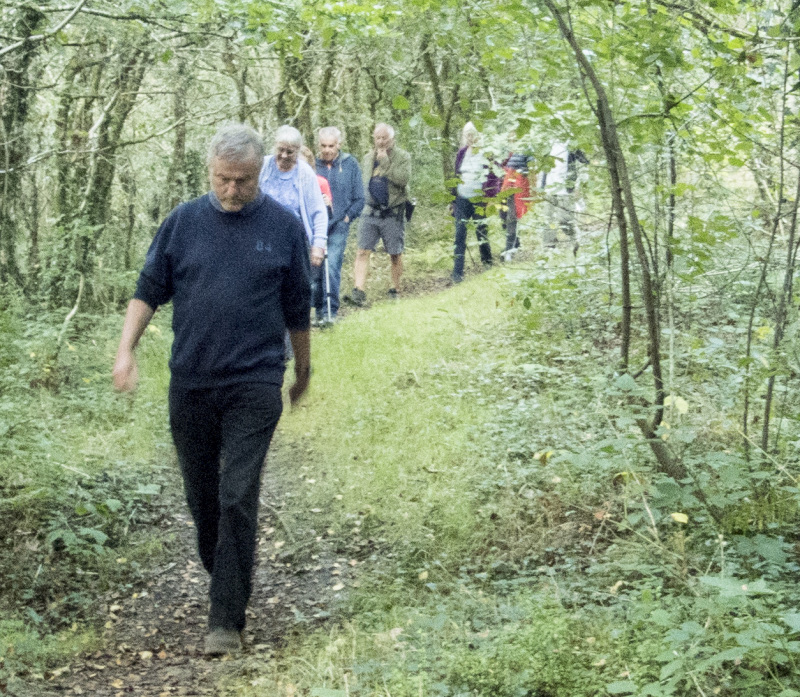 Photograph of Walking Route - Image 16