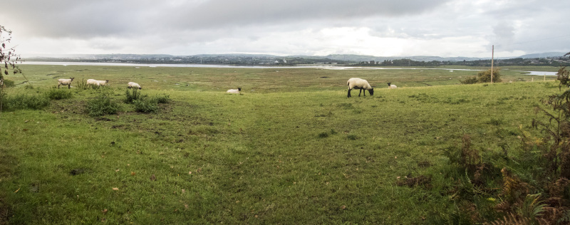 Photograph of Walking Route - Image 7