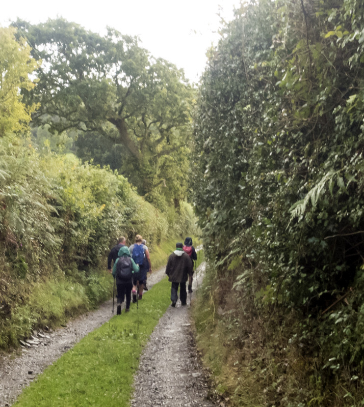 Photograph of Walking Route - Image 8
