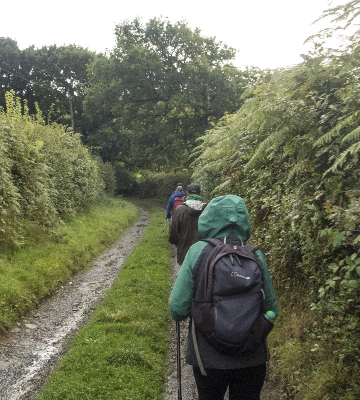 Photograph of Walking Route - Image 9