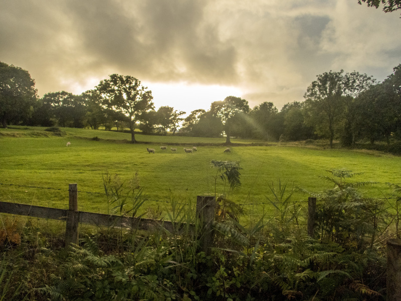 Photograph of Walking Route - Image 19