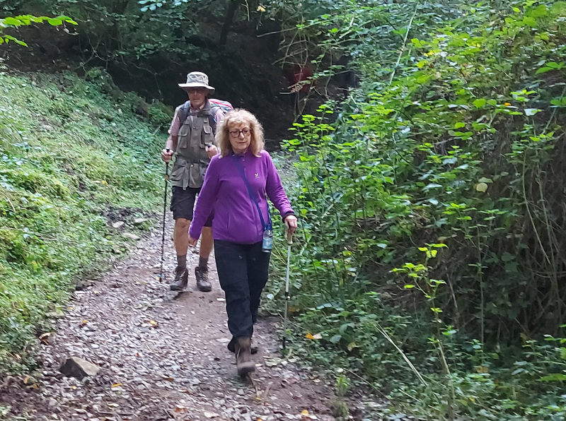 Photograph of Walking Route - Image 3