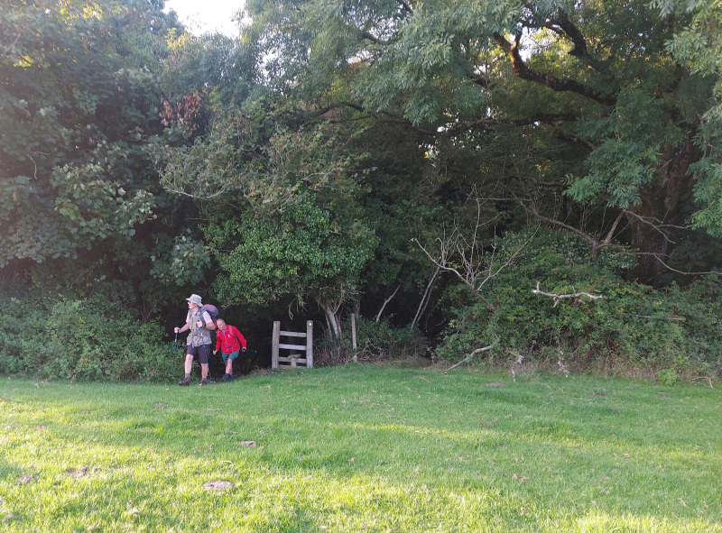 Photograph of Walking Route - Image 4