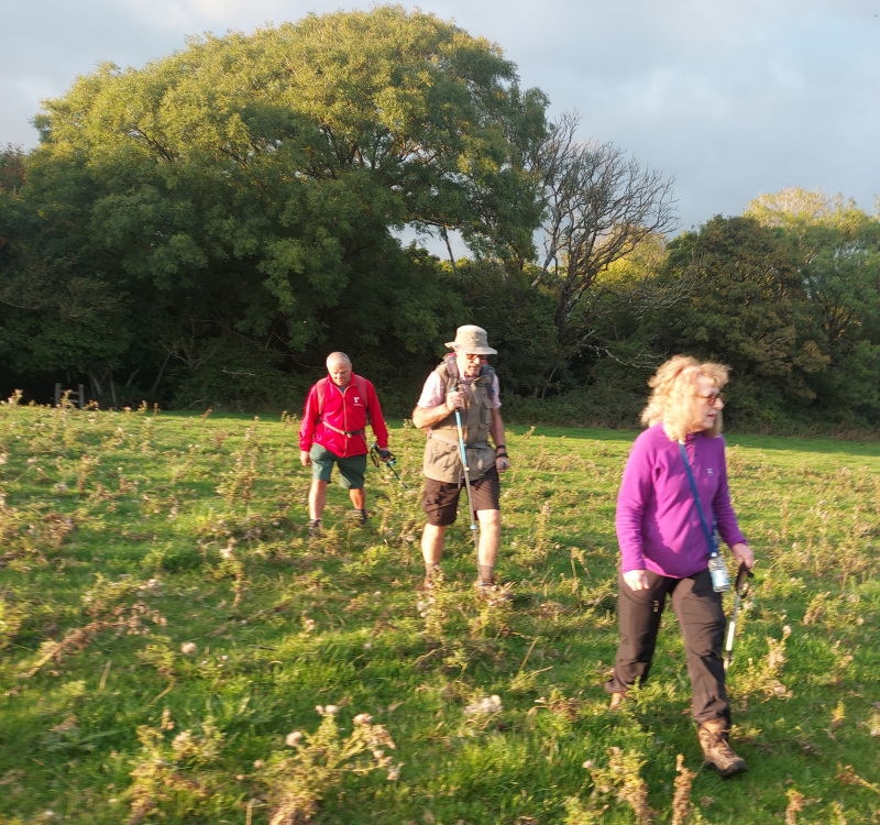 Photograph of Walking Route - Image 7
