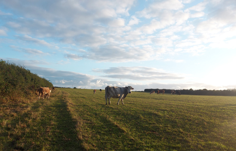 Photograph of Walking Route - Image 8