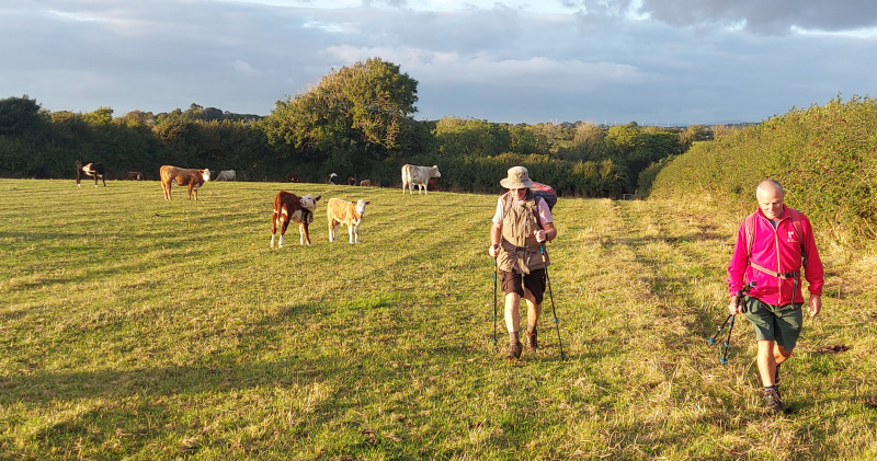 Photograph of Walking Route - Image 11