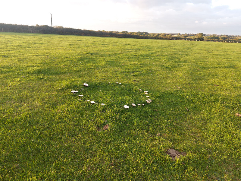 Photograph of Walking Route - Image 15